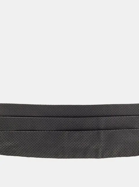 Salvatore Ferragamo Grey Jacquard Cummerbund