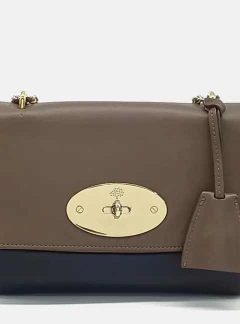 Mulberry Multicolor Leather Lily Bag