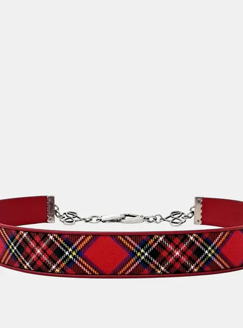 Miu Miu Red Canvas, Leather Strap SHW