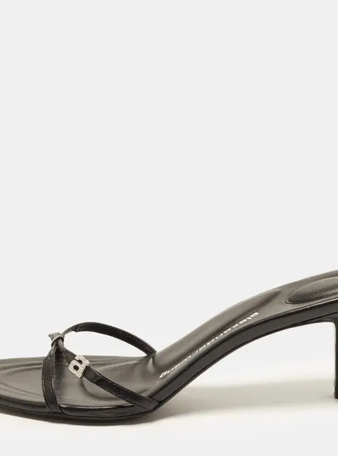 Alexander Wang lucienne Size 41 Black Leather Slide Sandals
