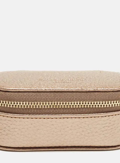 Aspinal Of London Tidy All Gold Leather Case