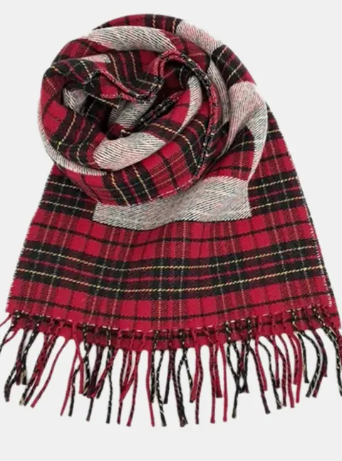 Balenciaga Multicolor Wool scarf
