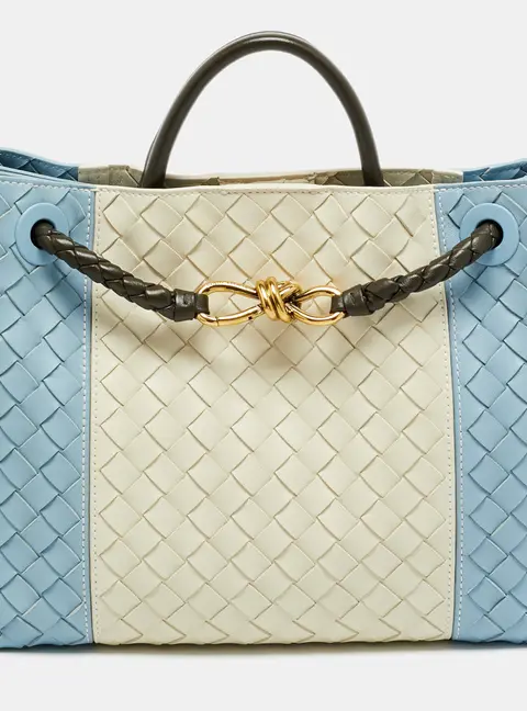 Bottega Veneta Andiamo Medium Multicolor Intrecciato Leather Tote