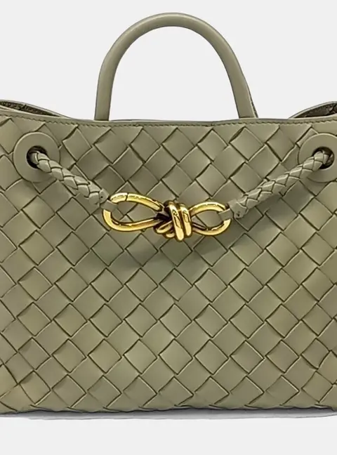Bottega Veneta Andiamo Small
