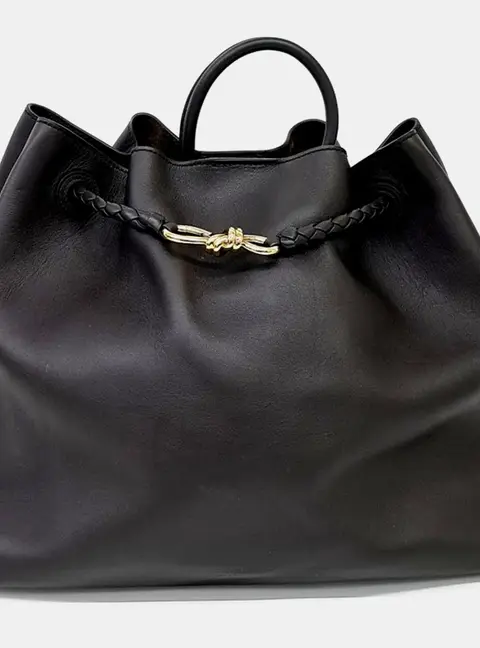 Bottega Veneta Andiamo Raggi Brown Leather Bag
