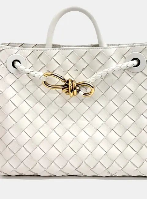 Bottega Veneta White Leather Andiamo Small