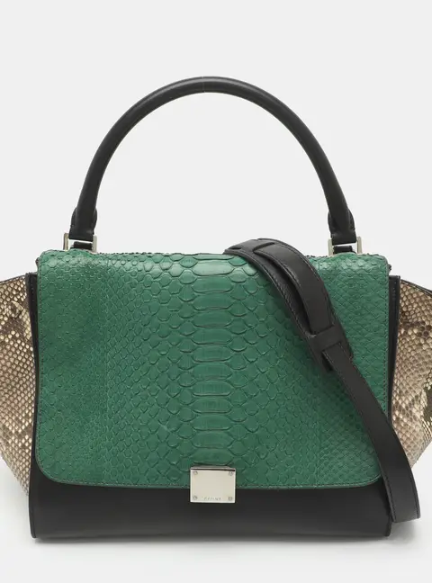 Celine Trapeze Medium Multicolor Leather and Python Top Handle Bag