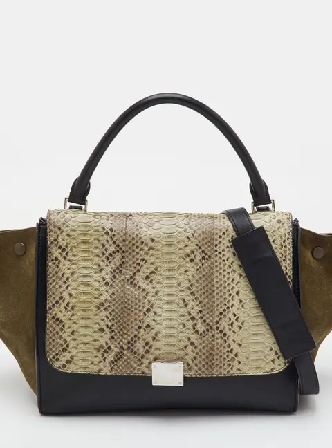 Celine Trapeze Medium Multicolor Leather and Suede and Python Bag