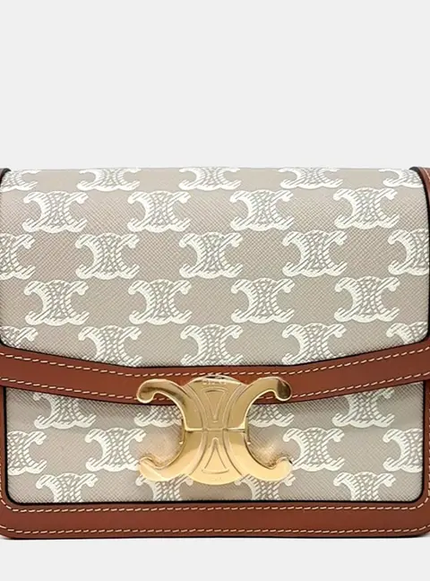Celine Teen Triumph Brown Canvas Bag