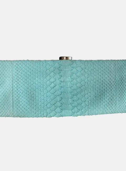 Chanel Mint Green Python Leather Clutch Bag