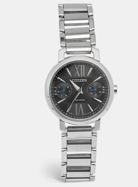 Citizen Eco-Drive FD1000-57E Black Dial Stainless Steel Women's Wristwatch 31 mm