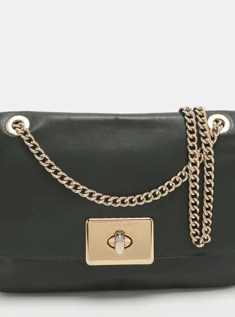 Coach Cassidy Green/Brown Leather and Python Embossed Chain Flap Shoulder Bag