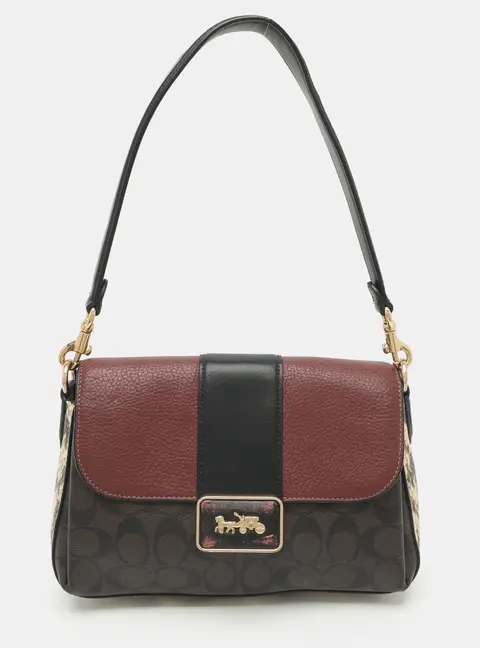 Coach Grace Multicolor Signature Canvas and Snakeskin Embossed Leather Shoulder Bag