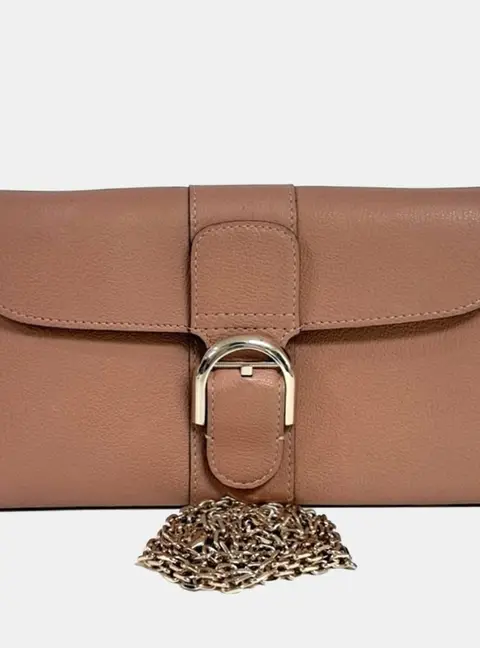 Delvaux Brillant Brown Leather Wallet Bag