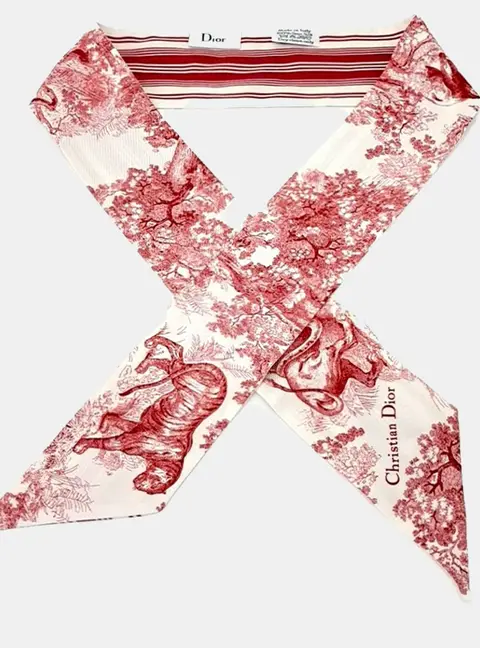 Christian Dior Toile De Jouy Sauvage Mitzah Red Silk Scarf