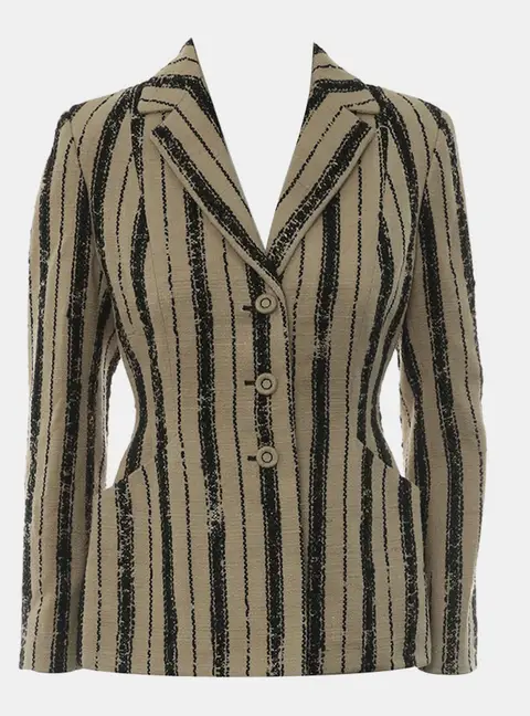 Dior Stripes Blazer