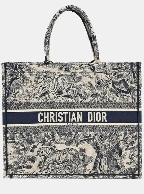 Christian Dior Book Tote Small Blue Canvas Tote Bag