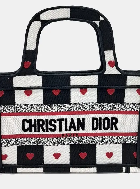 Dior Multicolor Fabric Book Mini Tote Bag