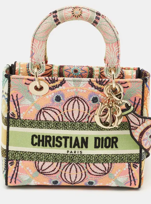 Dior Multicolor Embroidered Canvas Medium Lady D-Lite Tote