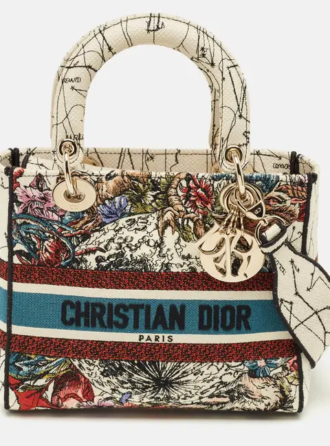 Dior Multicolor Floral Embroidered Canvas Medium Lady D-Lite Tote