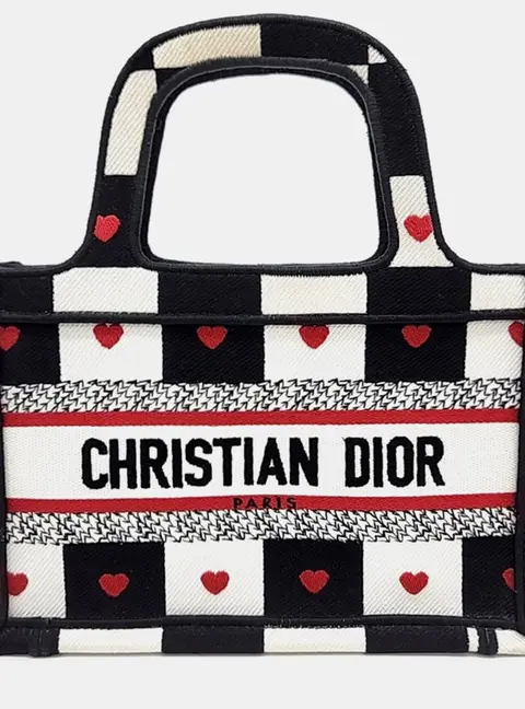 Christian Dior Multicolor Fabric Mini Book Tote Bag