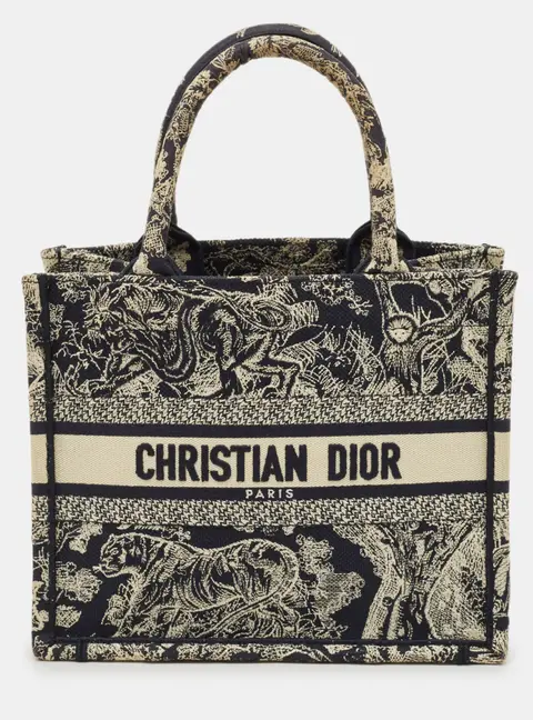 Dior Book Small Blue Toile de Jouy Embroidered Canvas Tote