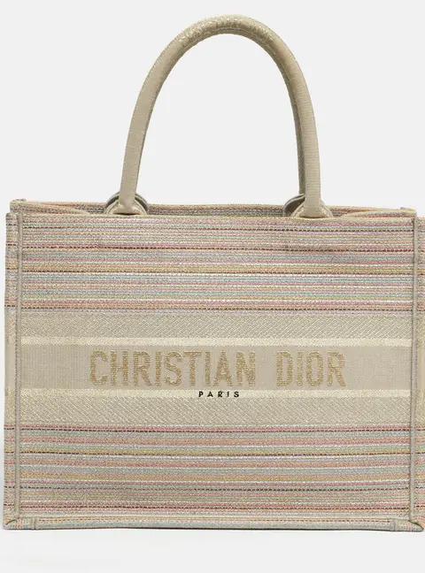 Dior Multicolor Embroidered Stripes Canvas Medium Book Tote