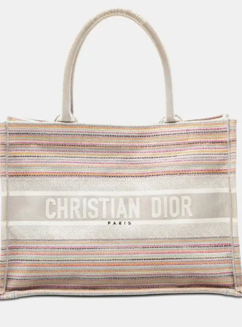 Dior Book Tote Medium Multicolor Embroidered Canvas Bag