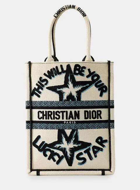 Dior Vertical Book Tote Small White Blue Black Canvas Top Handle Bag