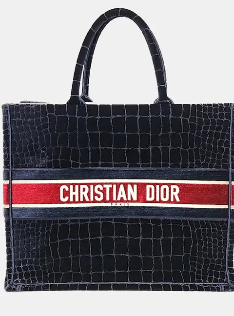 Christian Dior Velvet Book Tote Bag 42