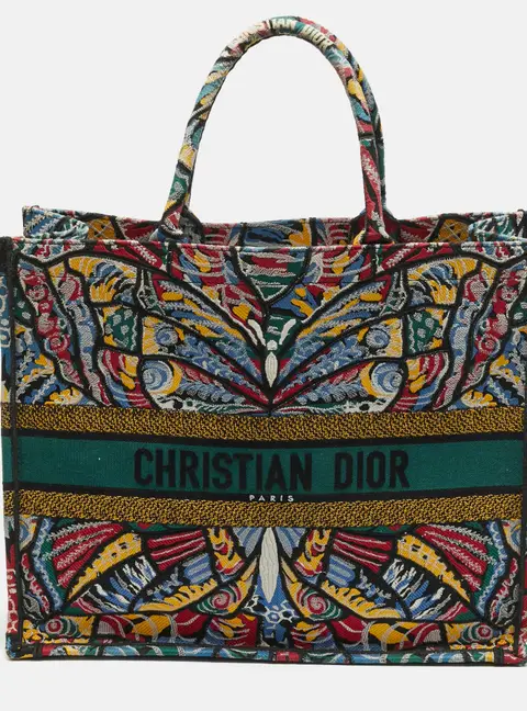 Dior Book Large Multicolor Butterfly Embroidered Canvas Tote
