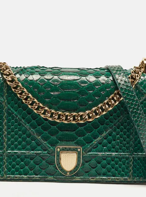 Dior Diorama Medium Green Python Shoulder Bag