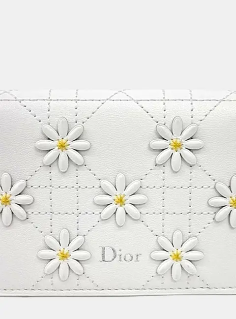 Dior Card Holder White Leather Card Holder Bag