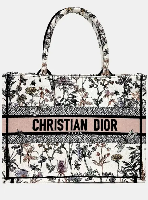 Christian Dior Book Tote Medium Multicolor Embroidered Canvas Tote Bag