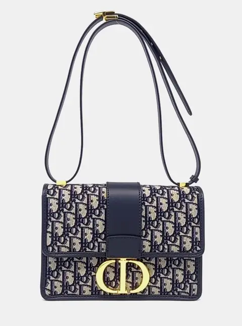 Dior Multicolor Fabric Oblique 30 Montaigne Bag