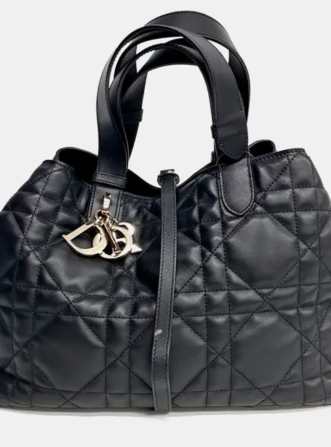 Dior Multicolor Leather Toujours Medium