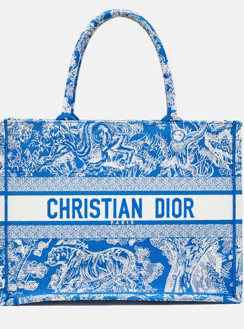 Dior Blue/White Embroidered Canvas Medium Toile de Jouy Book Tote