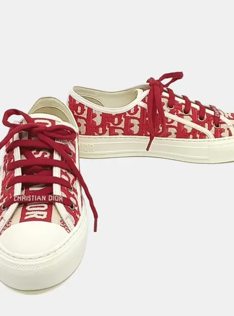 Christian Dior Oblique Walk & Dior Sneakers