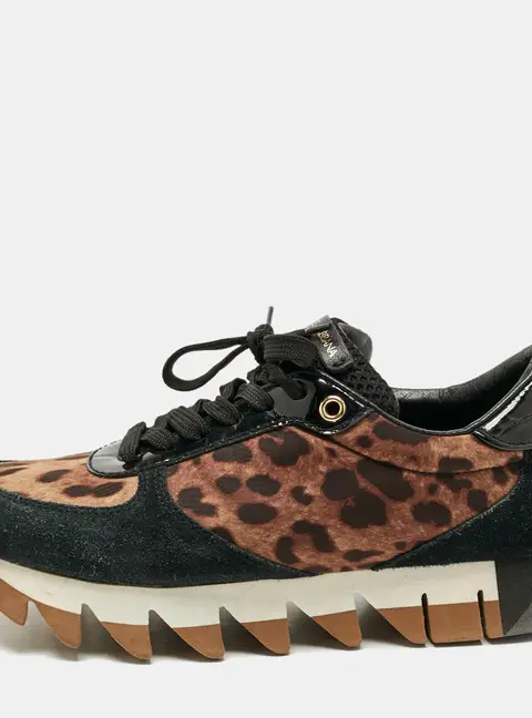 Dolce & Gabbana Multicolor Leopard Print Canvas and Patent Leather Lace Up Sneakers Size 36