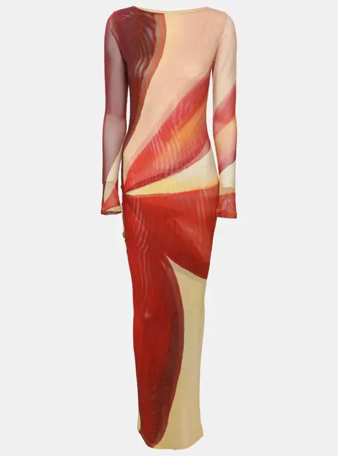 Farai London Multicolor Printed Mesh Aphrodite Long Sleeve Long Dress XS