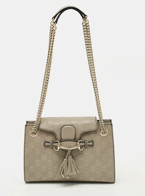 Gucci Emily Chain Grey Small Guccissima Leather Shoulder Bag