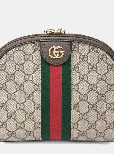 Gucci Multicolor PVC Ophidia Supreme Crossbody Bag (499621)