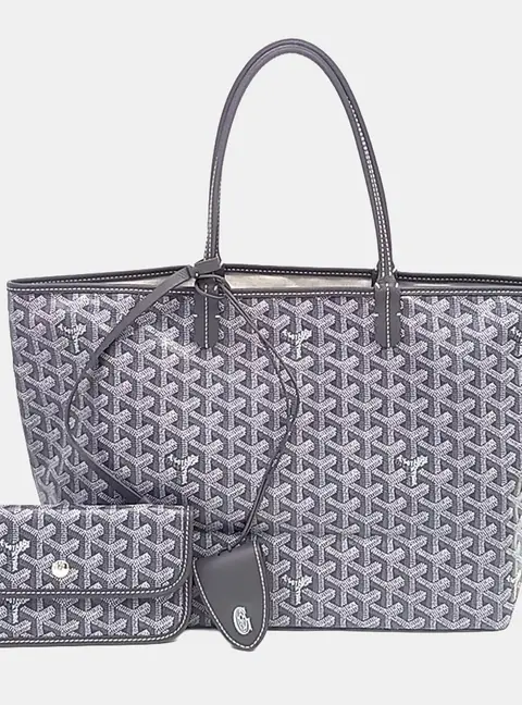 Goyard Multicolor PVC Saint Louis PM