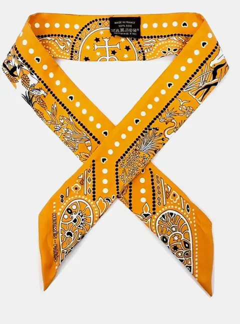 Hermes Orange Twilly