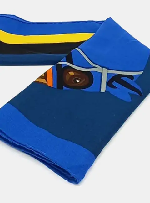 Herm&egrave;s Multicolor Cashmere Silk shawl and scarf