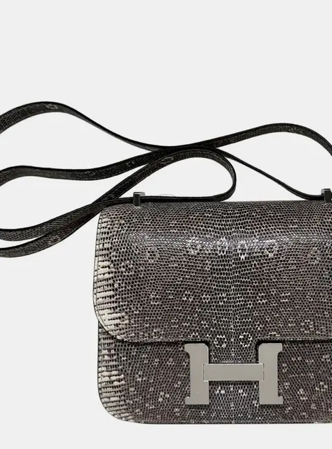 Hermes Constance 18 Ombre Lizard Skin Leather Shoulder Bag