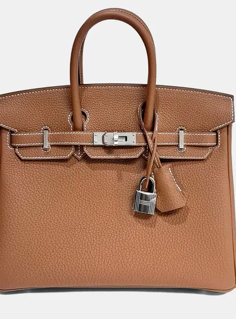 Hermes Birkin 25 Gold Togo Calfskin Leather Top Handle Bag