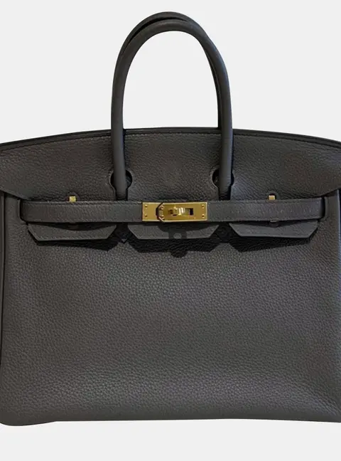 Hermes Birkin 25 Etain Togo Calfskin Leather Top Handle Bag
