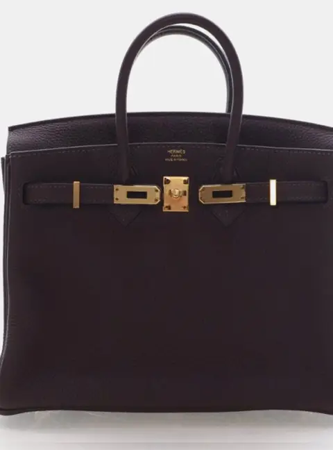 Hermes Birkin 25 Chocolate Togo Calfskin Leather Top Handle Bag