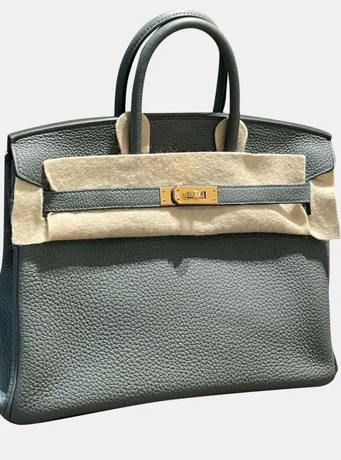 Hermes Birkin 25 Vert Amande Togo Calfskin Leather Top Handle Bag